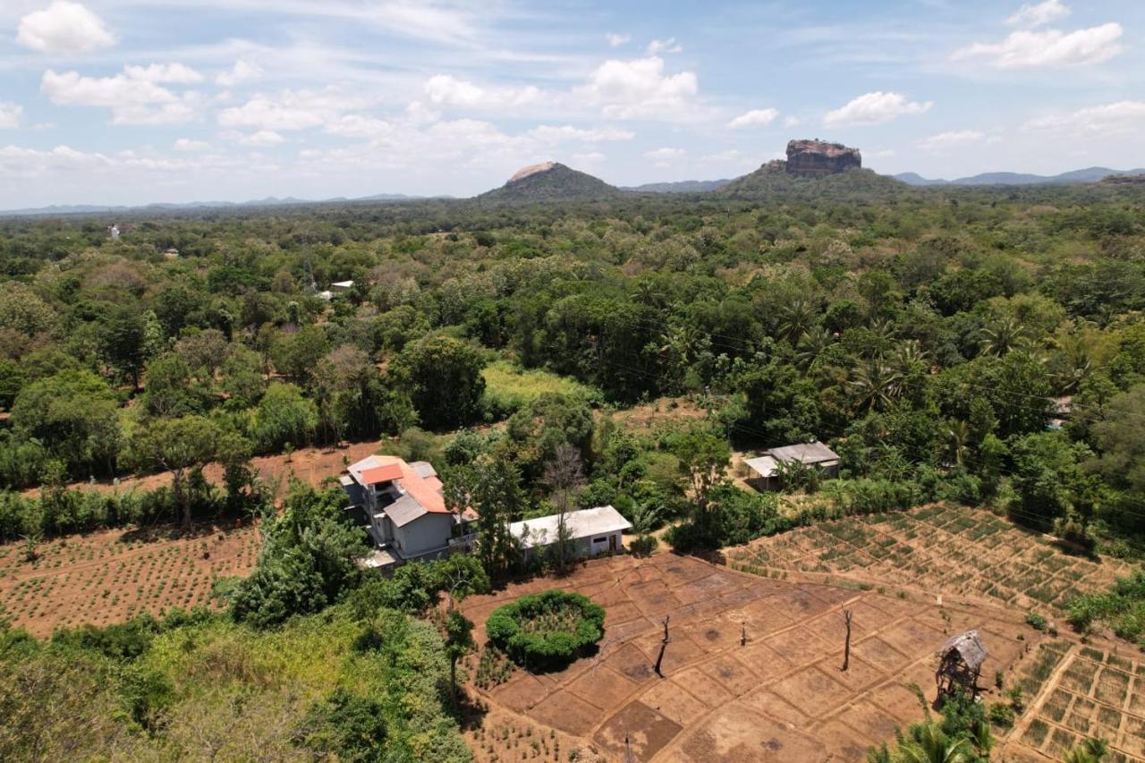 Sigiriya Sun Shine Villa Eksteriør billede
